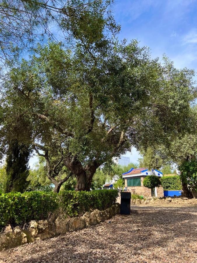 Complejo Rural Mirador De La Alcaidia Villa Hornachuelos Eksteriør billede