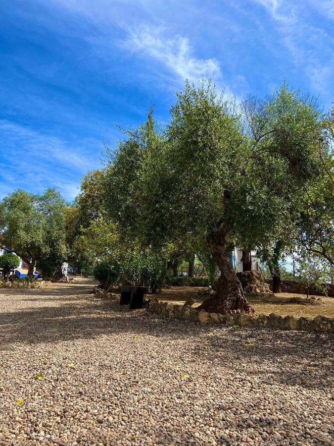Complejo Rural Mirador De La Alcaidia Villa Hornachuelos Eksteriør billede