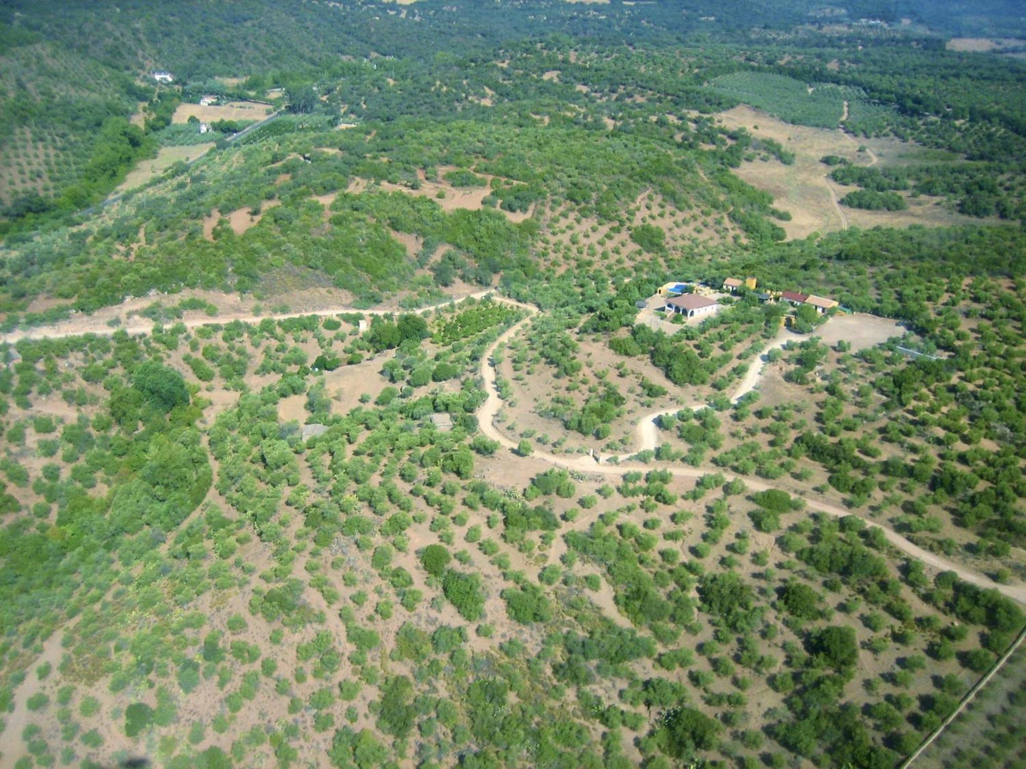 Complejo Rural Mirador De La Alcaidia Villa Hornachuelos Eksteriør billede